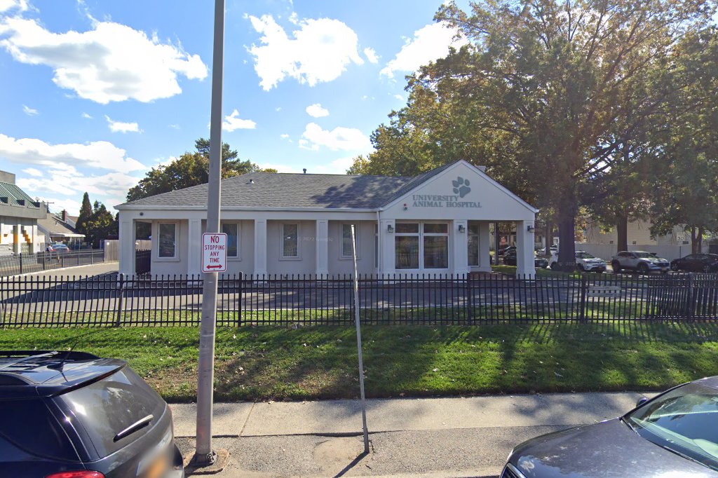 University Animal Hospital