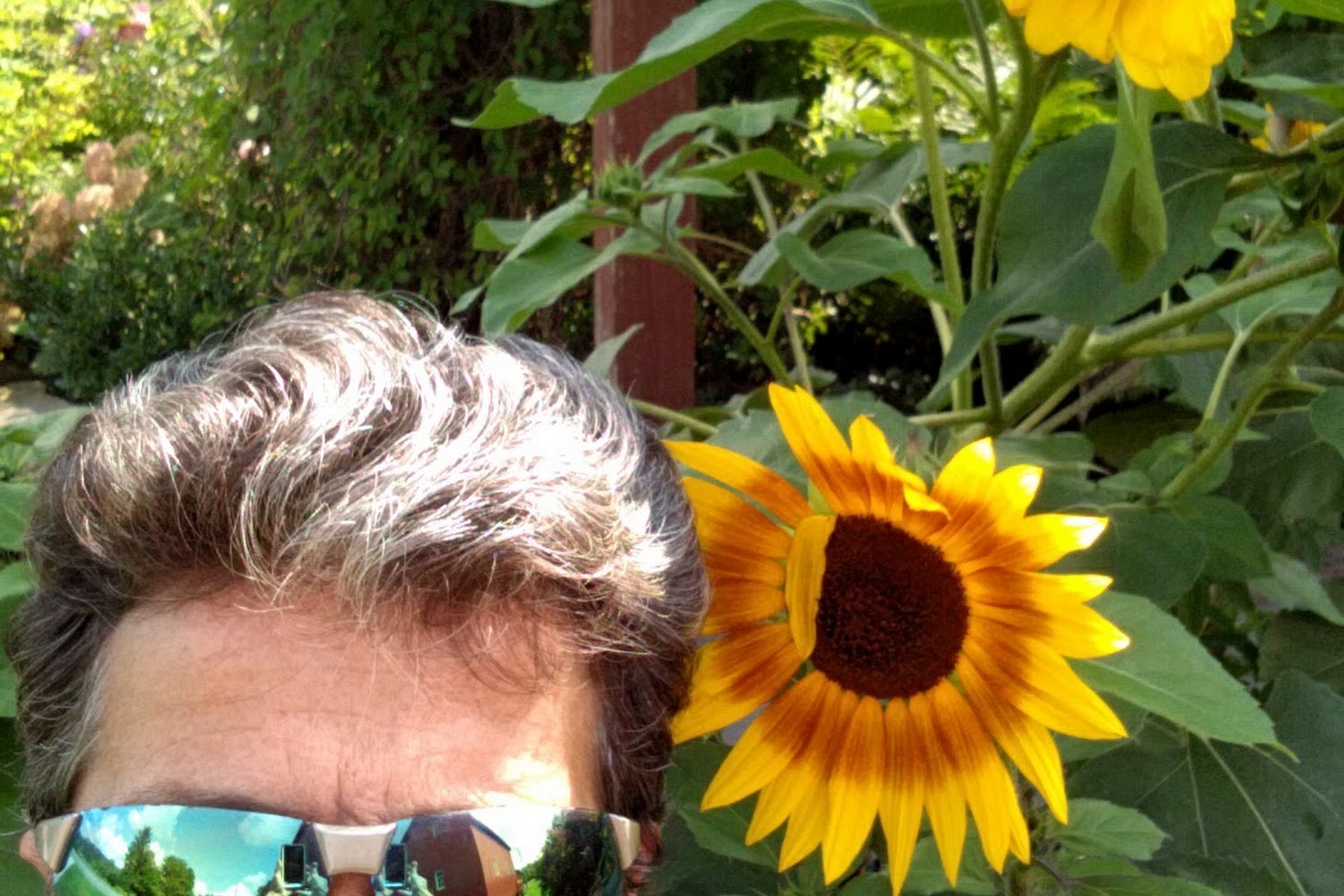 Knoll's End Animal Hospital