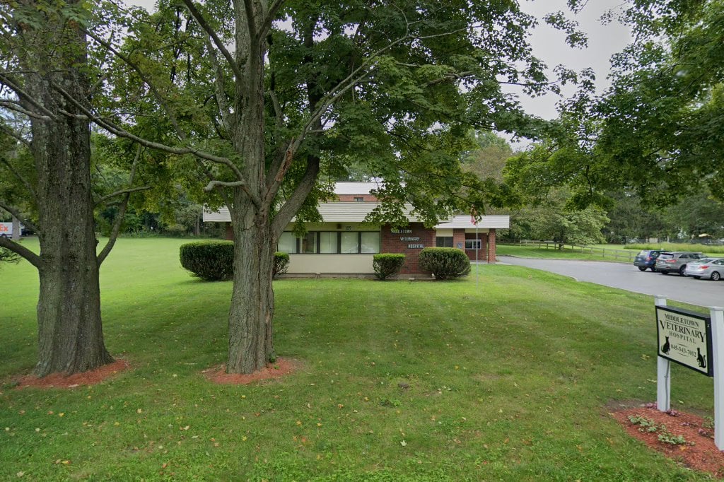 Middletown Veterinary Hospital