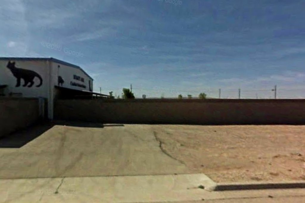 Noah's Ark Animal Shelter