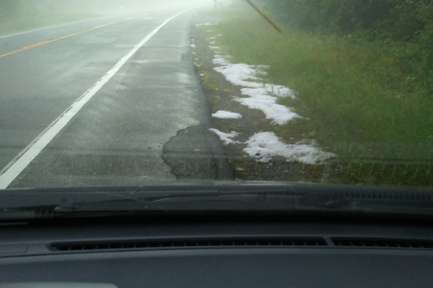 Adirondack Veterinary Hospital