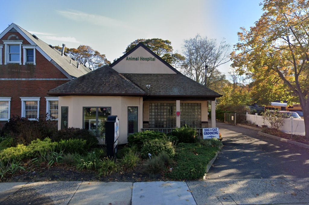 All Friends Veterinary Hospital