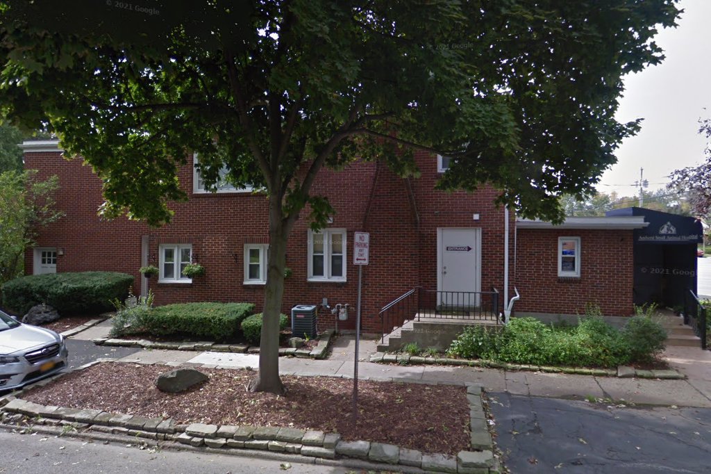 Amherst Small Animal Hospital