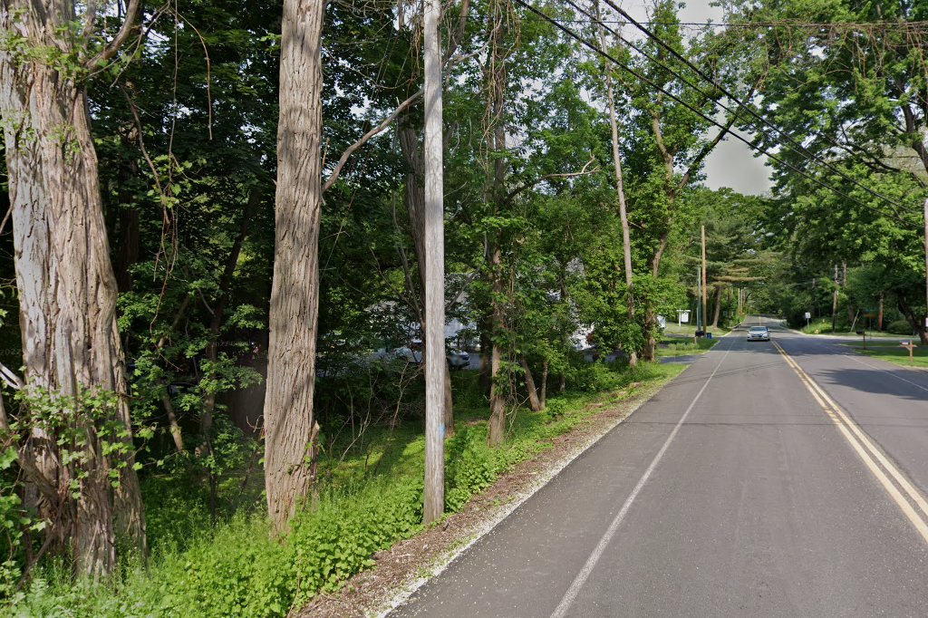 Cats Exclusively Veterinary Hospital