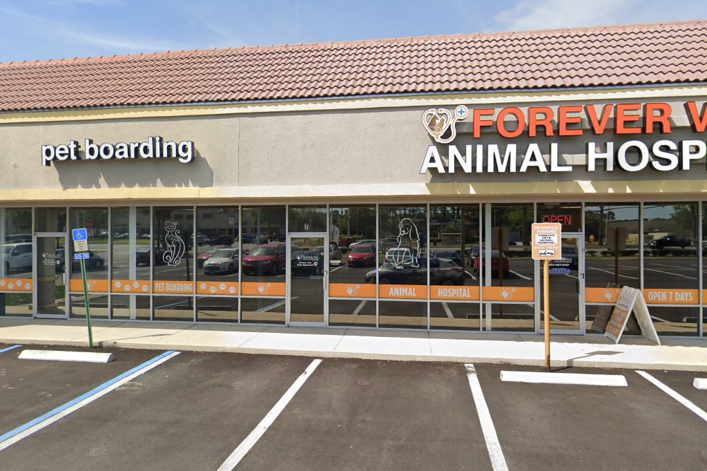 Emergency & Critical Care Pet Hospital