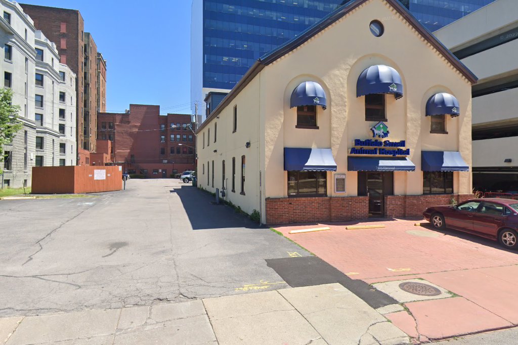 Buffalo Small Animal Hospital