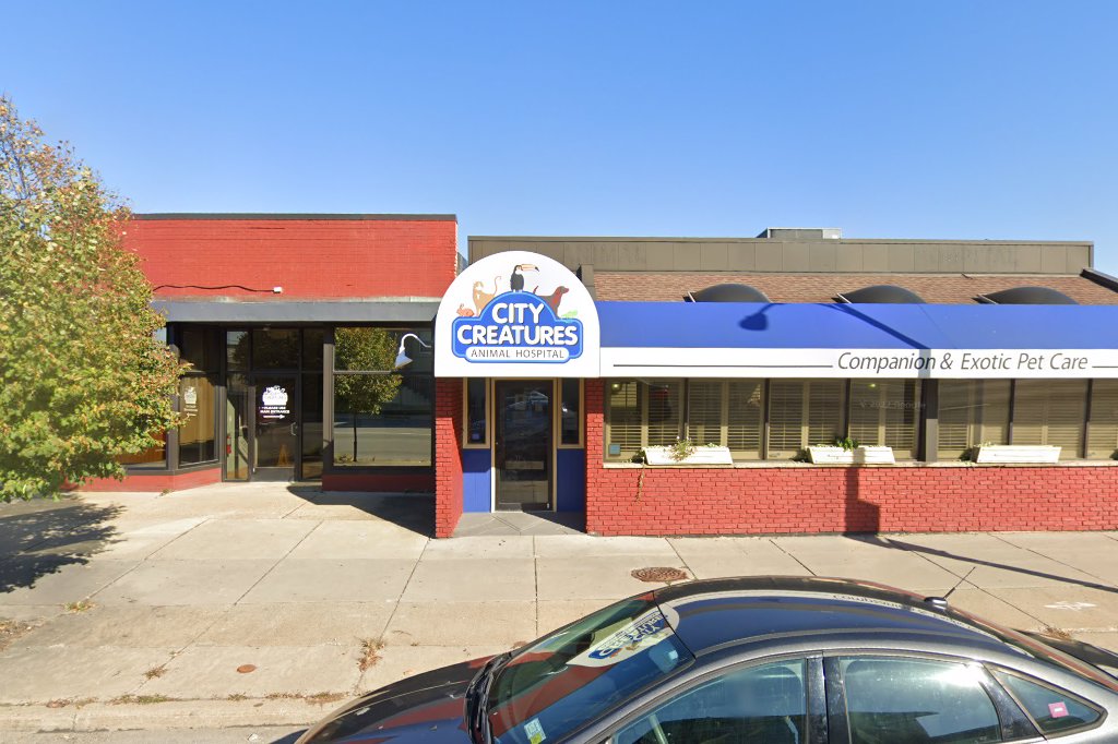 City Creatures Animal Hospital