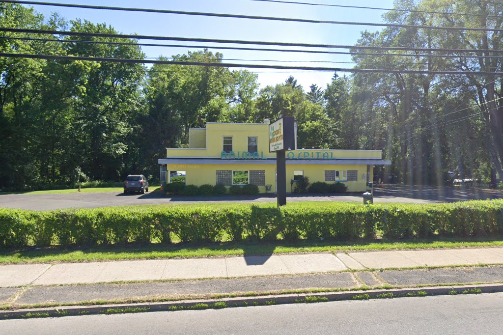 Colonie Animal Hospital