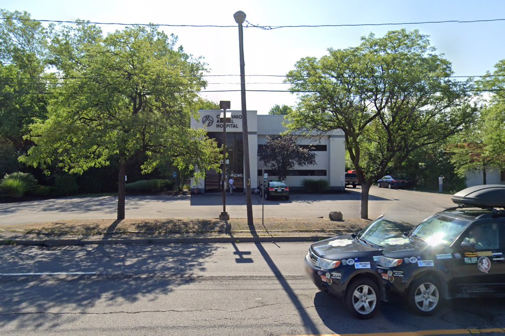 Companion Animal Hospital