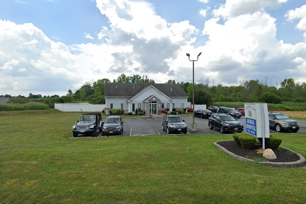 Companion Care Animal Hospital