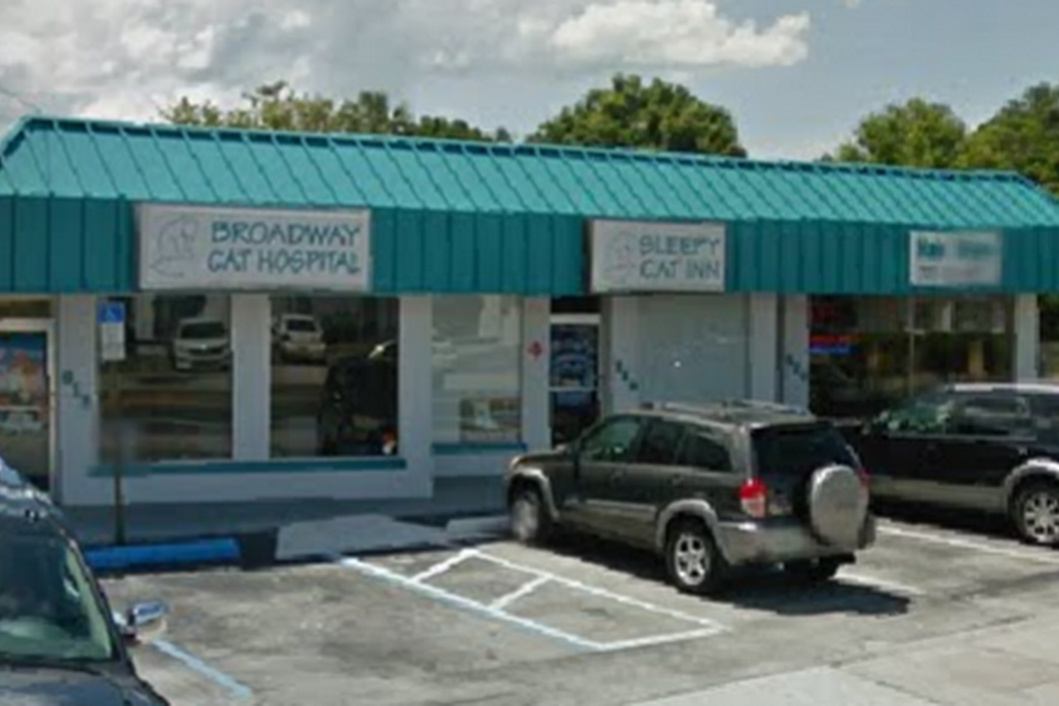 Broadway Cat Hospital