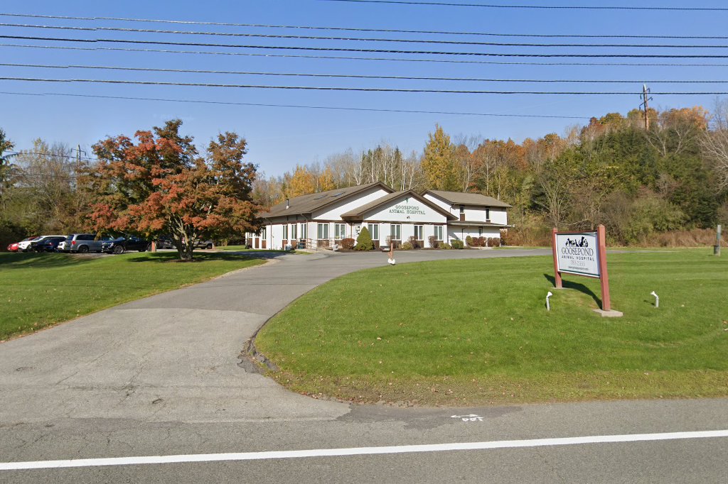 Goosepond Animal Hospital