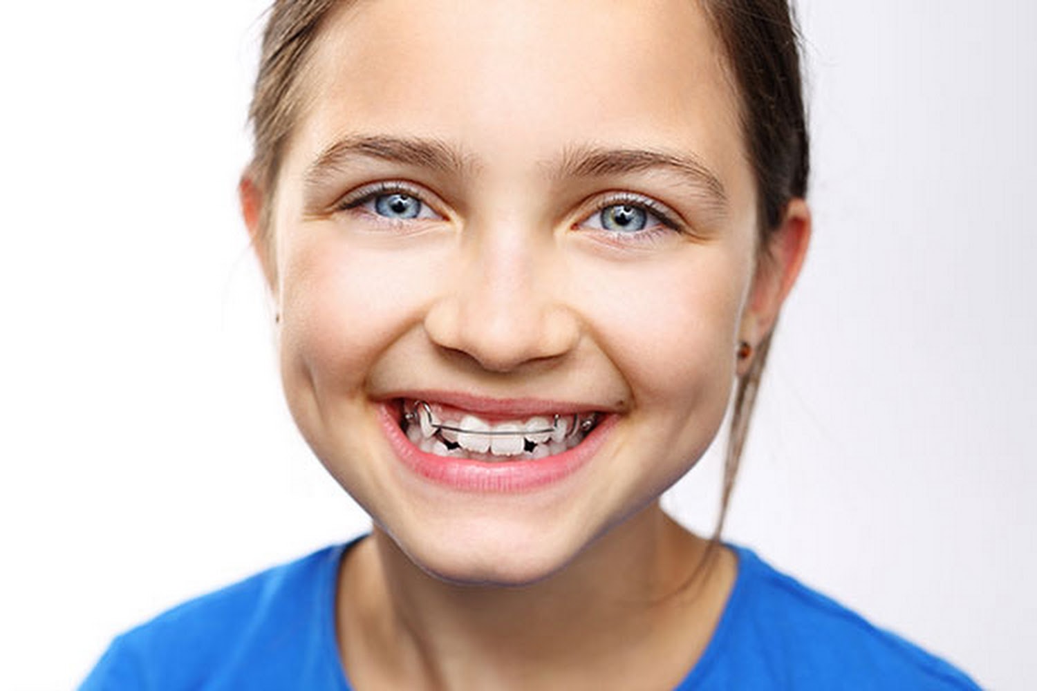 Gibbons Veterinary Hospital