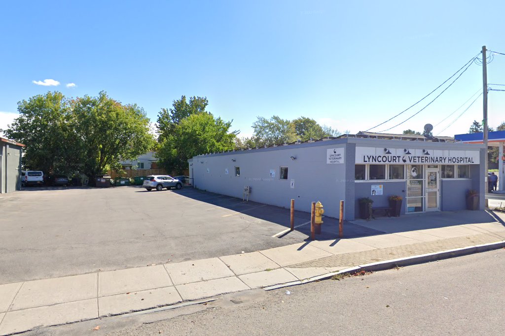 Lyncourt Veterinary Hospital