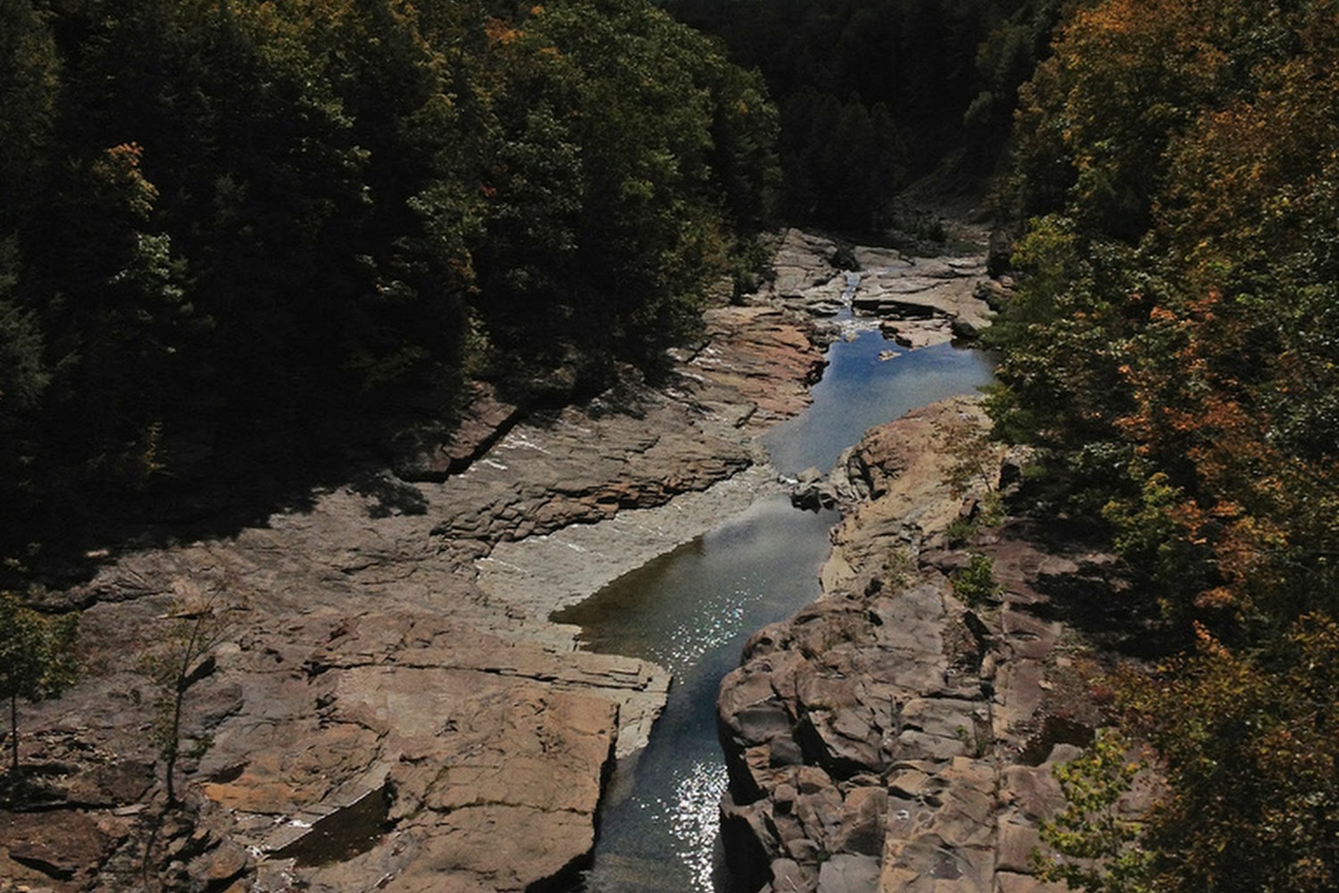 Lake Katrine Animal Hospital