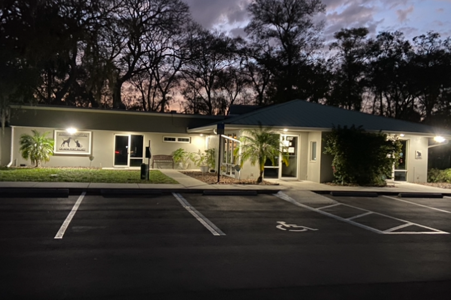 Animal Hospital of New Port Richey
