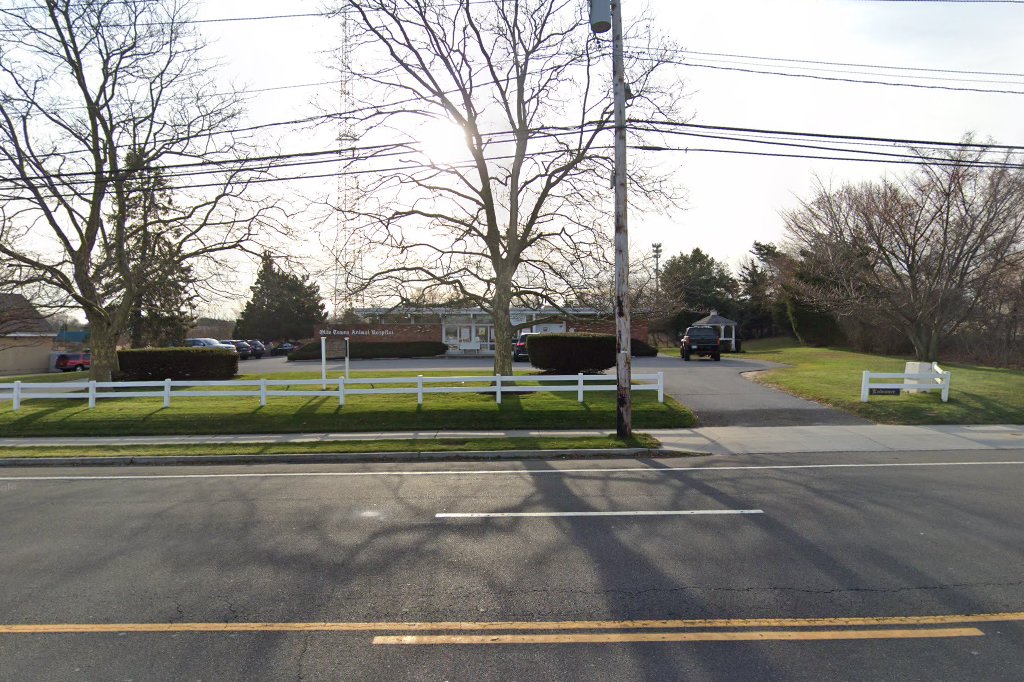 Olde Towne Animal Hospital