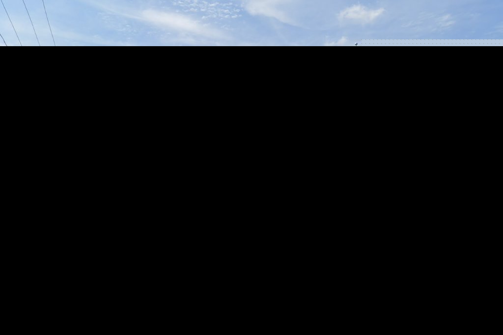 Millerton Veterinary Practice