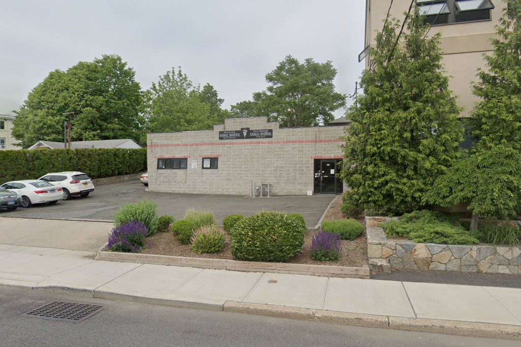Port Chester Animal Hospital