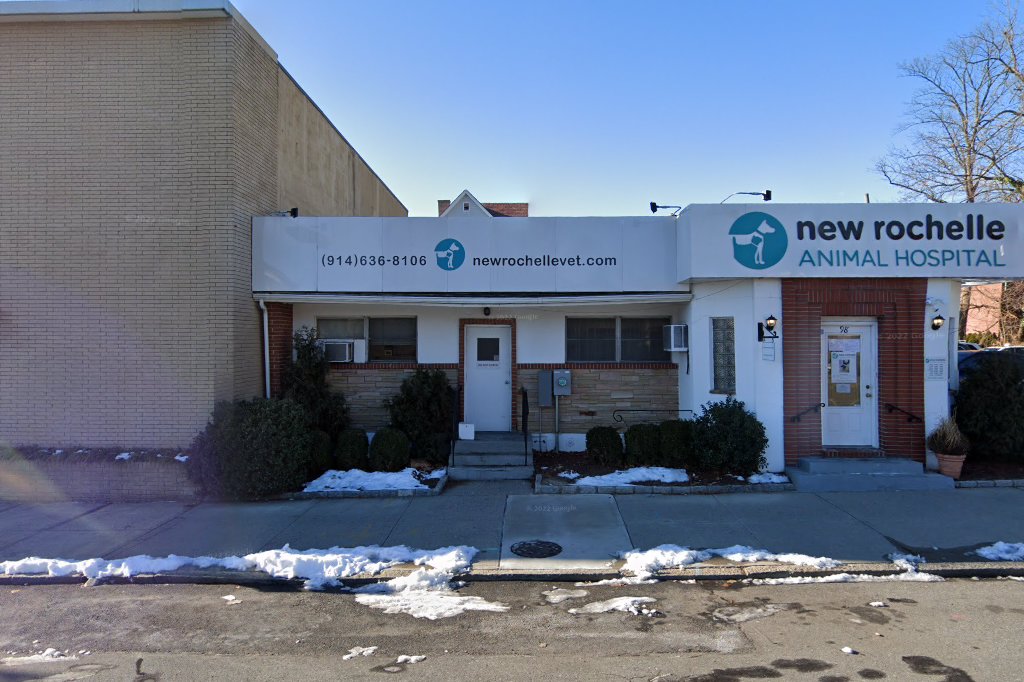 New Rochelle Animal Hospital