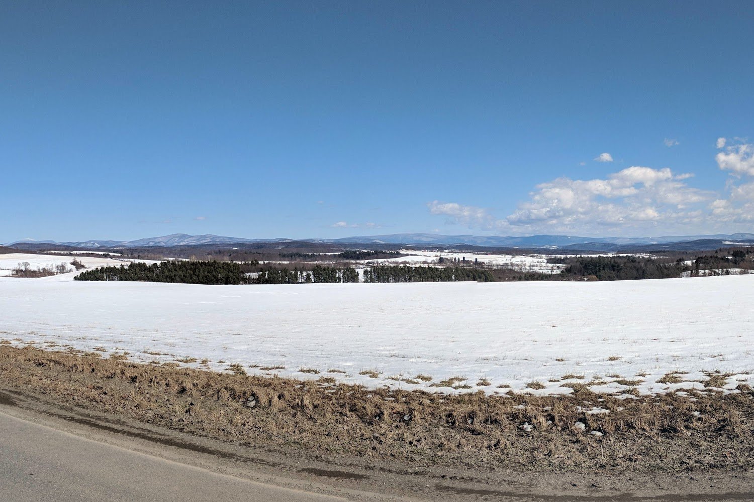 Quaintance House Animal Protectors League