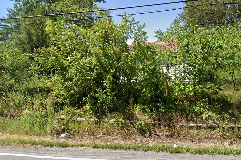 Adirondack Save A Stray