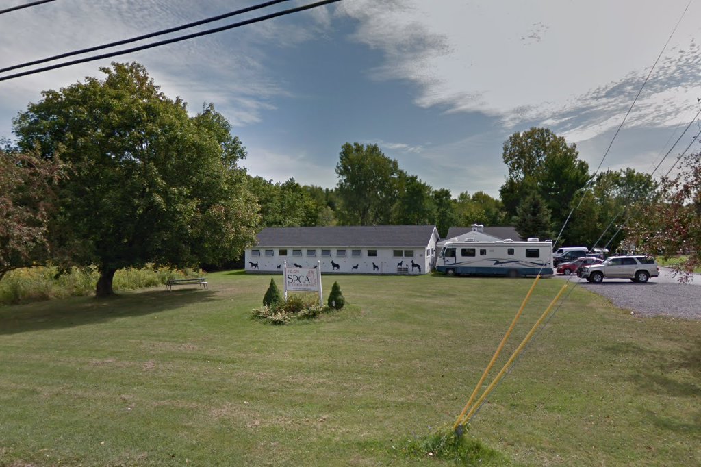 SPCA Jefferson County