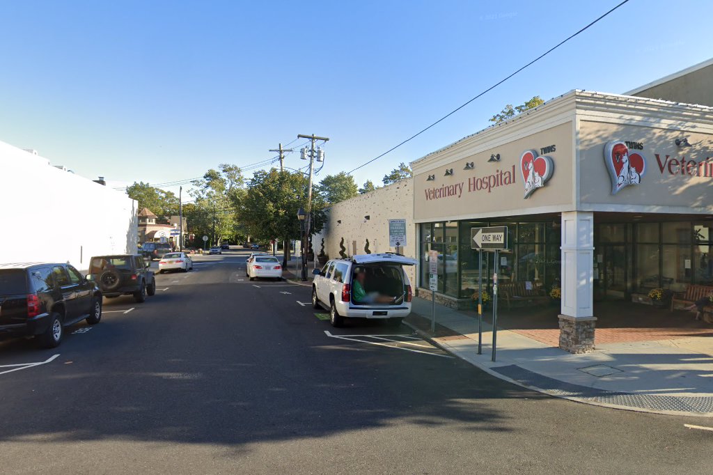 Twins Veterinary Hospital
