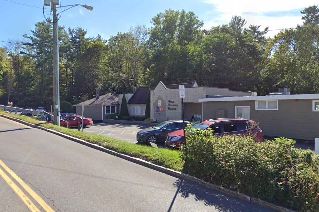 Vestal Veterinary Hospital