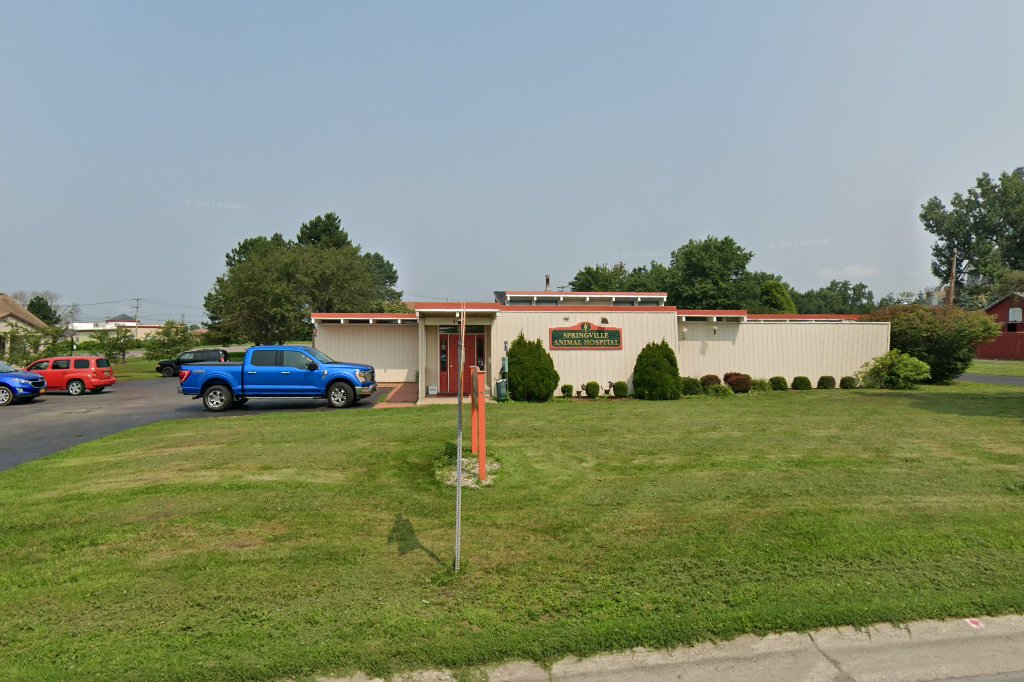 Springville Animal Hospital