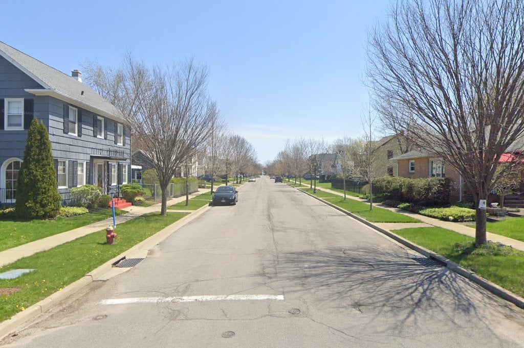 Dalmation Rescue Referral In Western New York