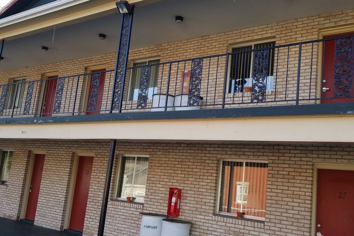 Going to The Dogs Rescue