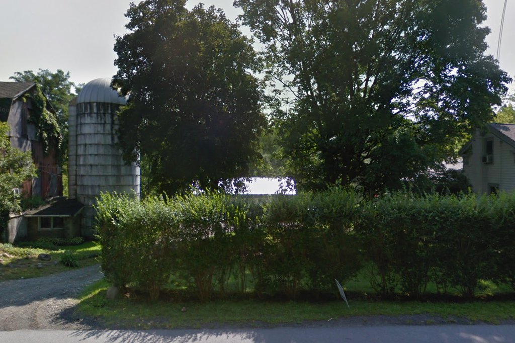 Lakeroad Ferret Farm Rescue