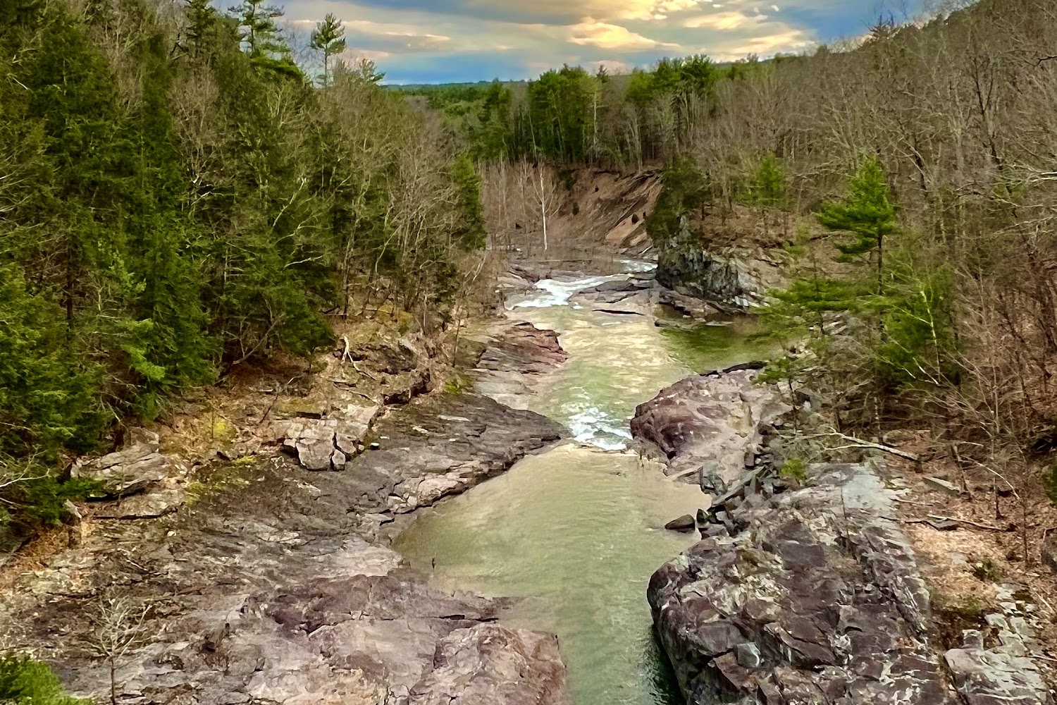 Animal Welfare Adoption Network