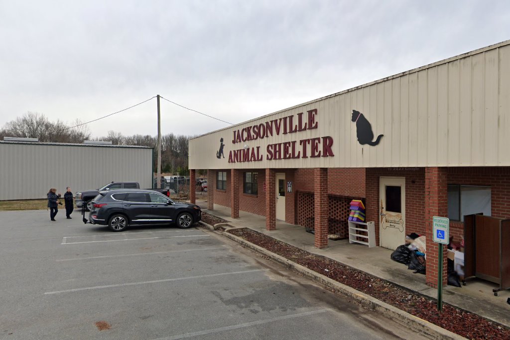 Jacksonville Animal Shelter