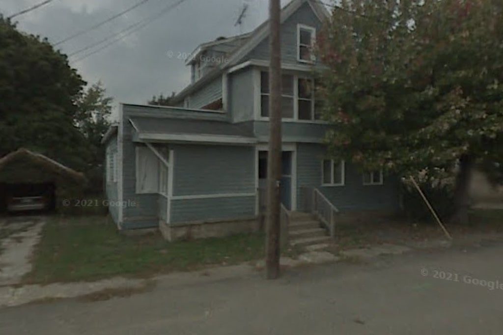 All Bassets Cherished Basset Hound Rescue