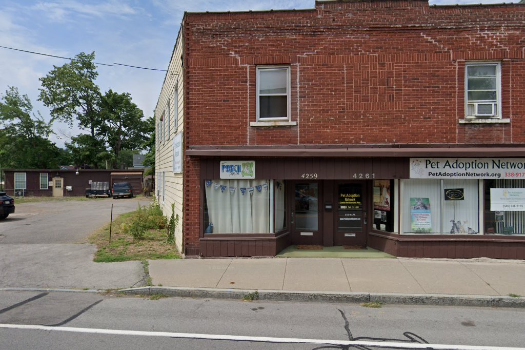 Pet Adoption Network