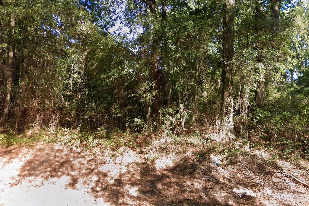 Nevada County Humane Society