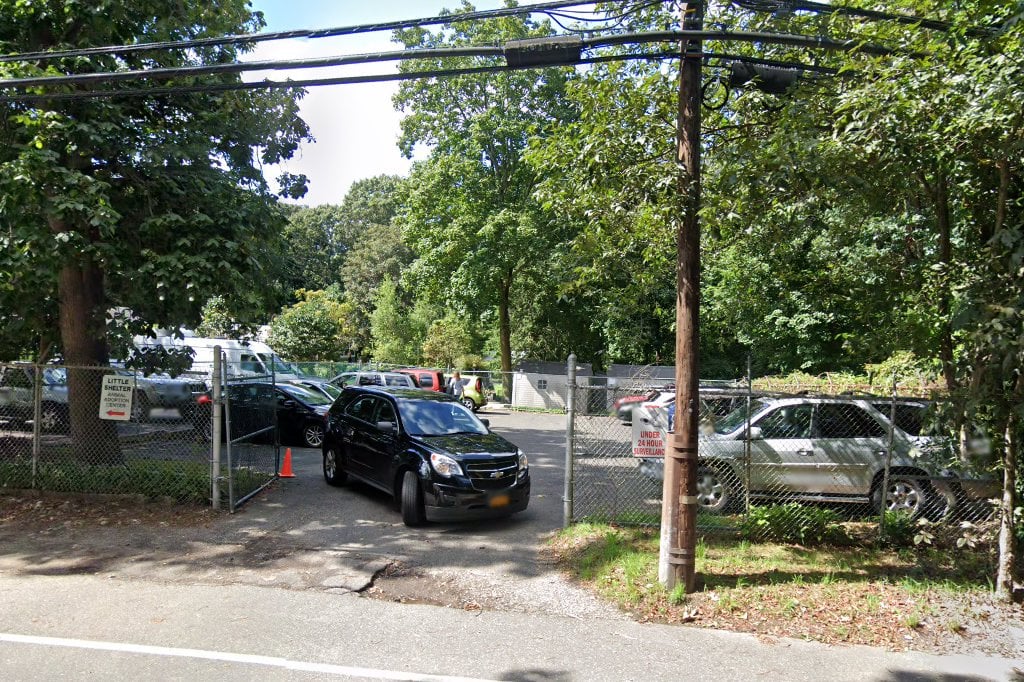 Little Shelter Animal Rescue & Adoption Center