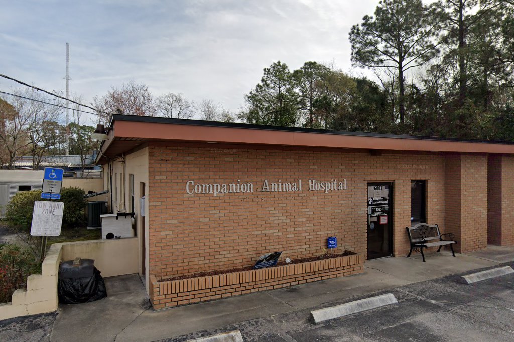 Jacksonville Companion Animal Hospital