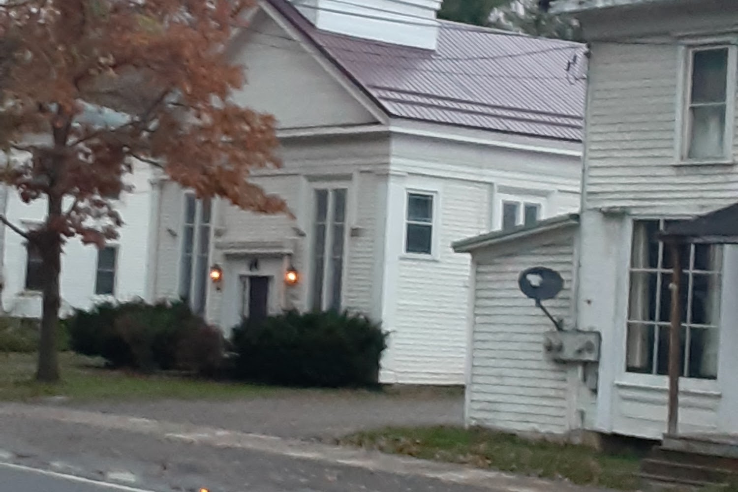 Lisle Animal Shelter