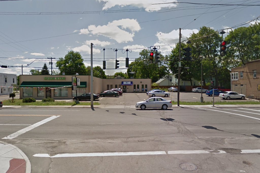 Cst Reptile Bully Breed Rescue