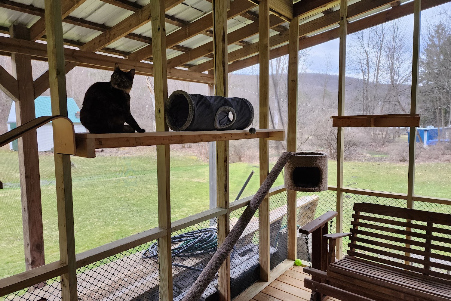 Woodhull Animal Control