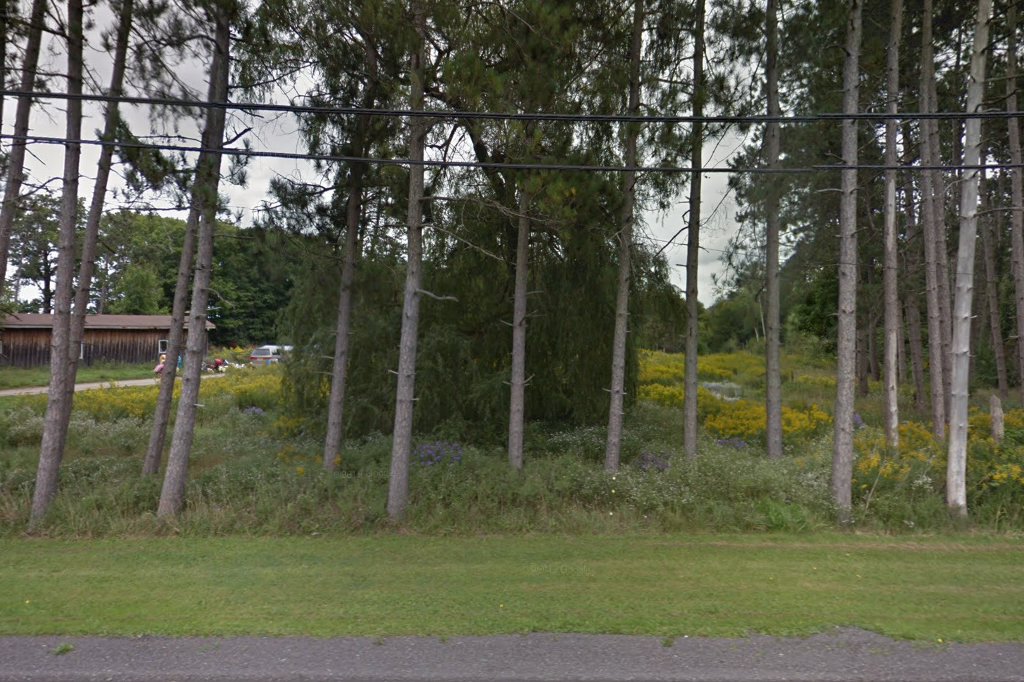 Gainesville Animal Control