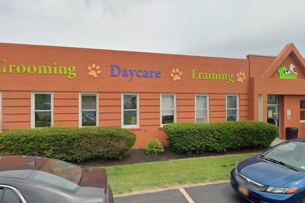 Tonawanda Animal Control