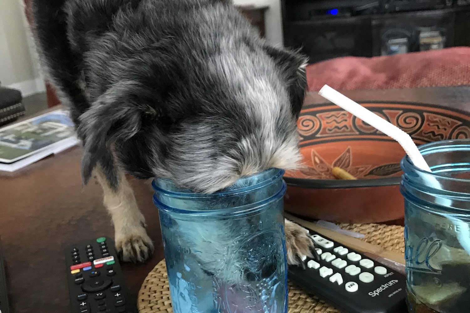 Noah's Ark Animal Hospital