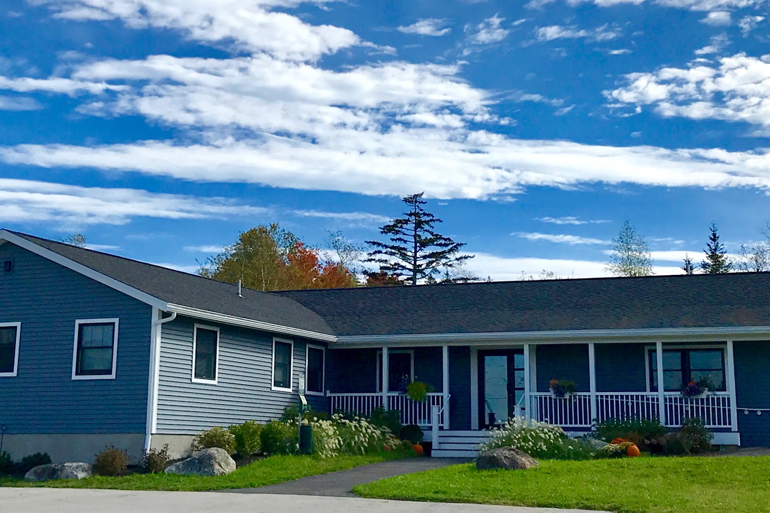 Harbor Road Veterinary Hospital