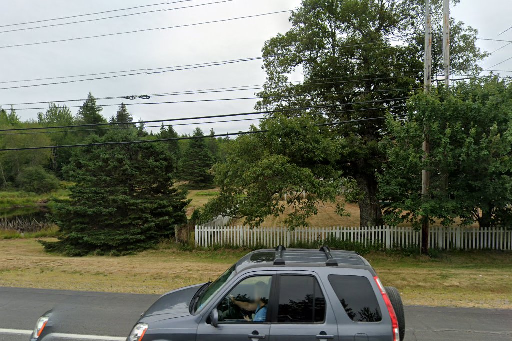 Maine Coonhound Rescue