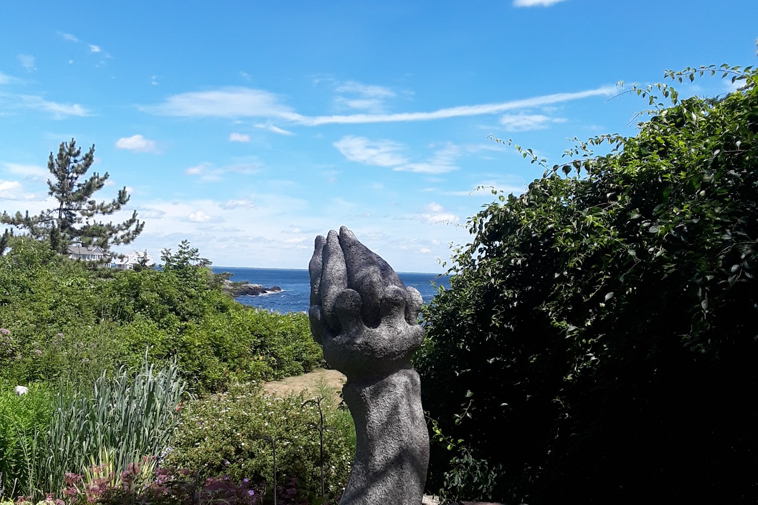 Marlee Animal Rescue