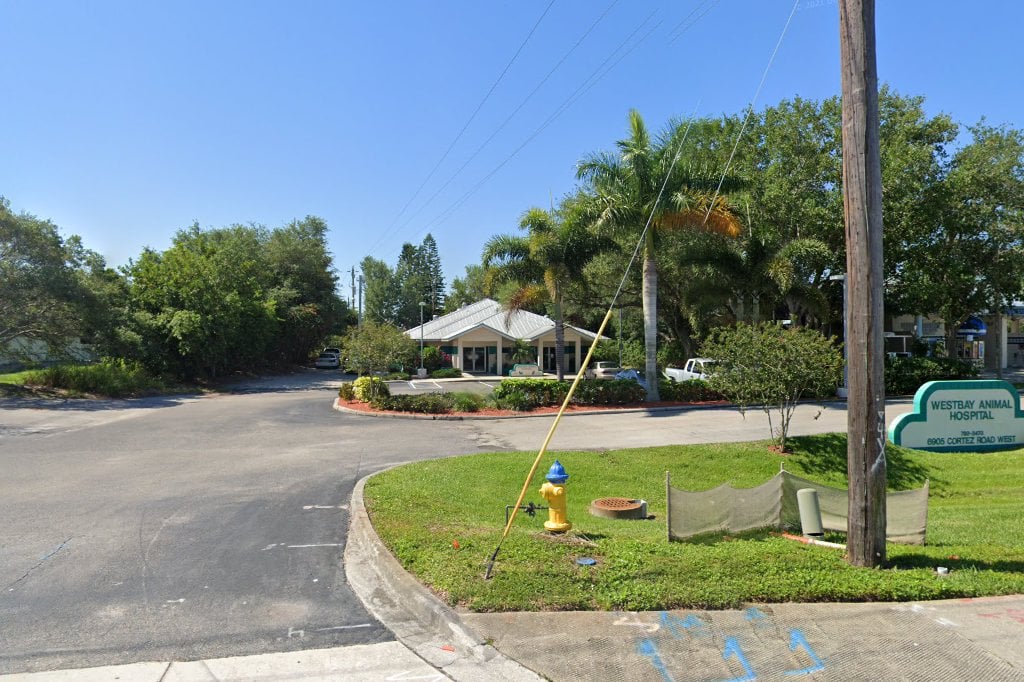 Westbay Animal Hospital